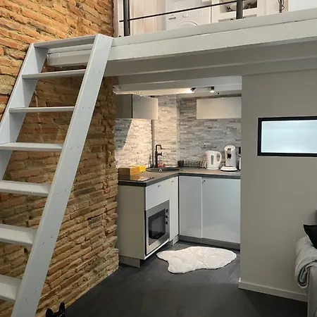 Apartamento Renove, Terrasse Privative, 300m Du Capitole *