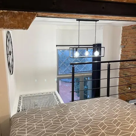 Rénové, Terrasse Privative, 300m Du Capitole